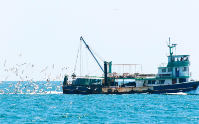 The Role of Vessel Monitoring Systems (VMS) in the fishing industry